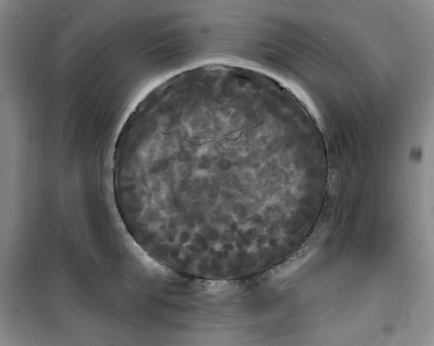 X0000100970903200807151348
