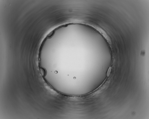 X0000100970904200807151348