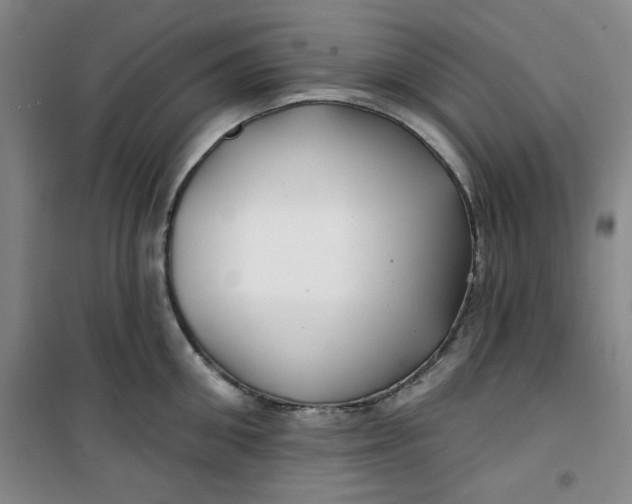 X0000100970906200807151348