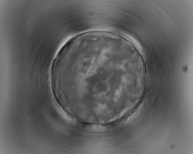 X0000100970907200807151348
