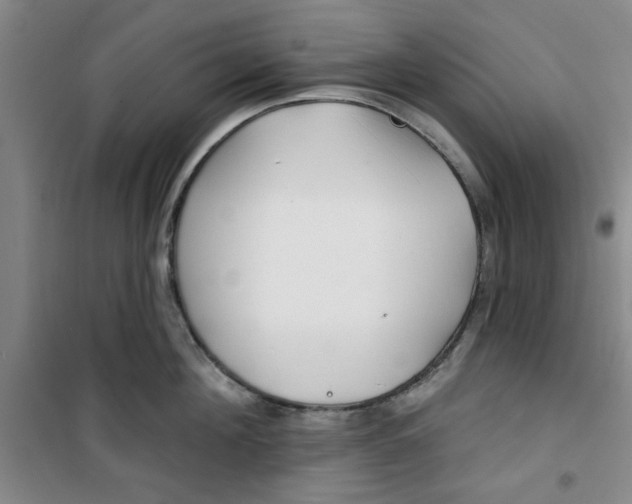 X0000100970908200807151348