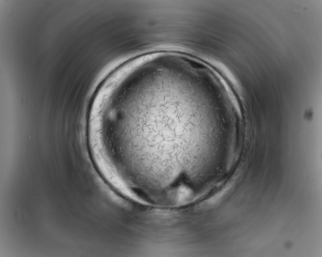 X0000100970910200807151348