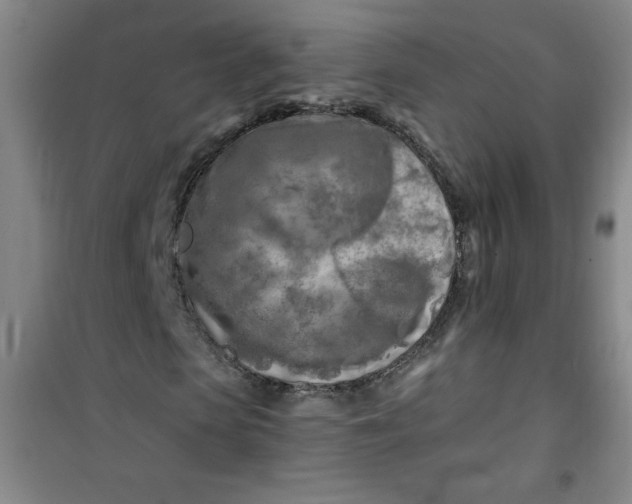 X0000100970913200807151347