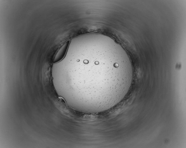 X0000100970914200807151347