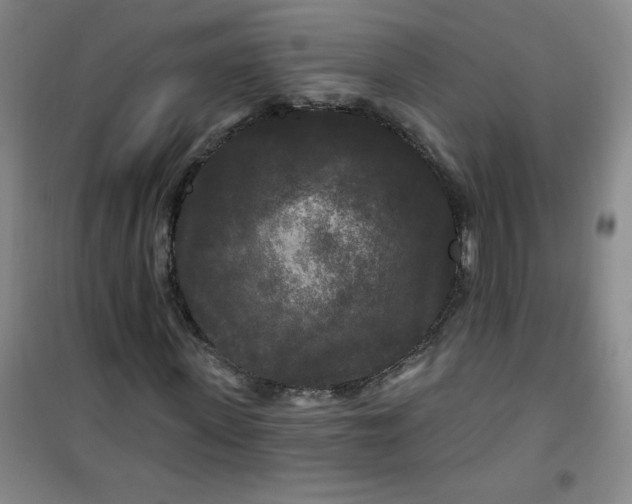 X0000100970915200807151347