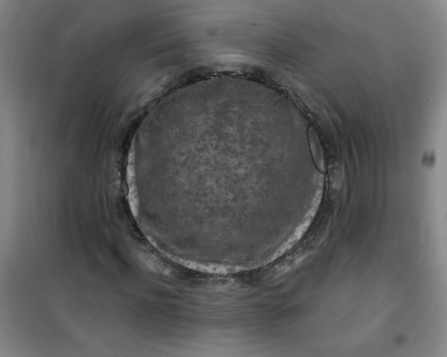 X0000100970916200807151347
