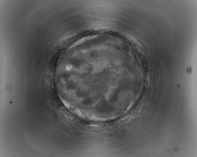 X0000100970917200807151347