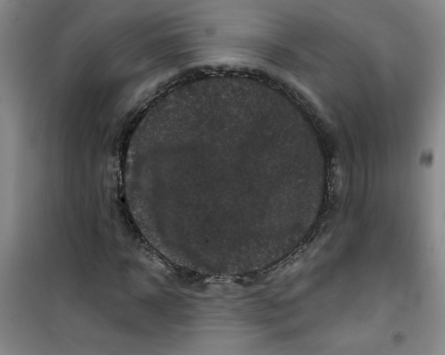 X0000100970918200807151347