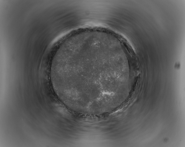 X0000100970919200807151347