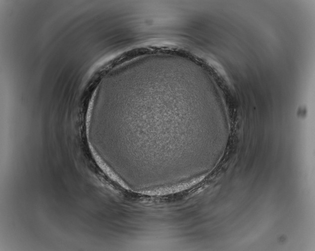 X0000100970920200807151347