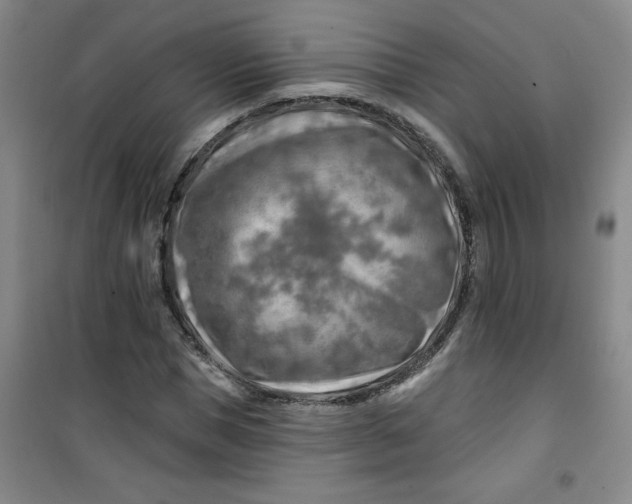 X0000100970921200807151348