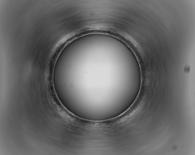 X0000100970922200807151348