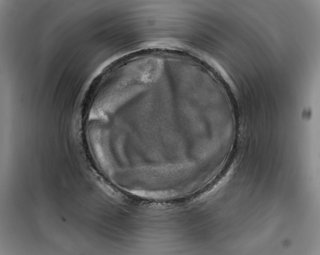 X0000100970923200807151348