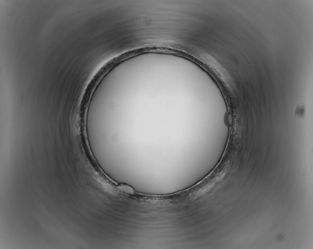 X0000100970924200807151348