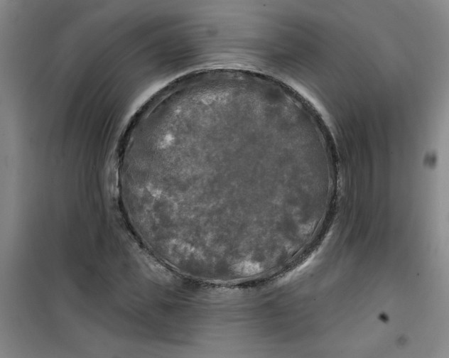 X0000100970925200807151348