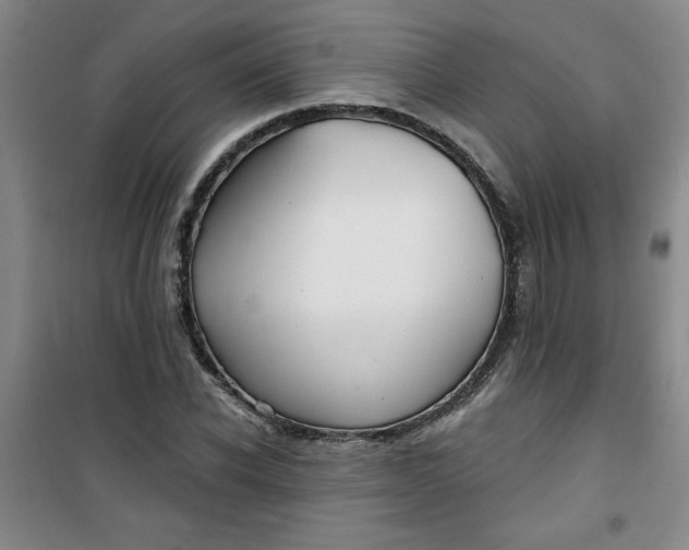X0000100970926200807151348
