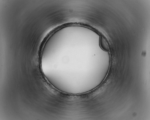 X0000100970927200807151348