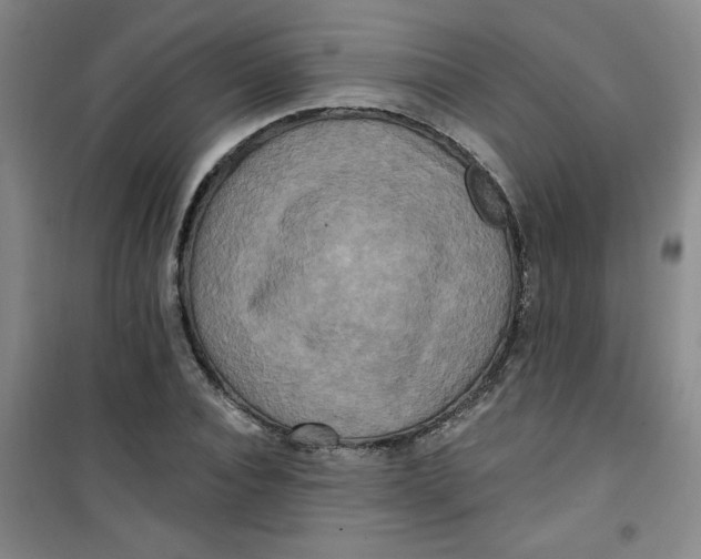 X0000100970928200807151348