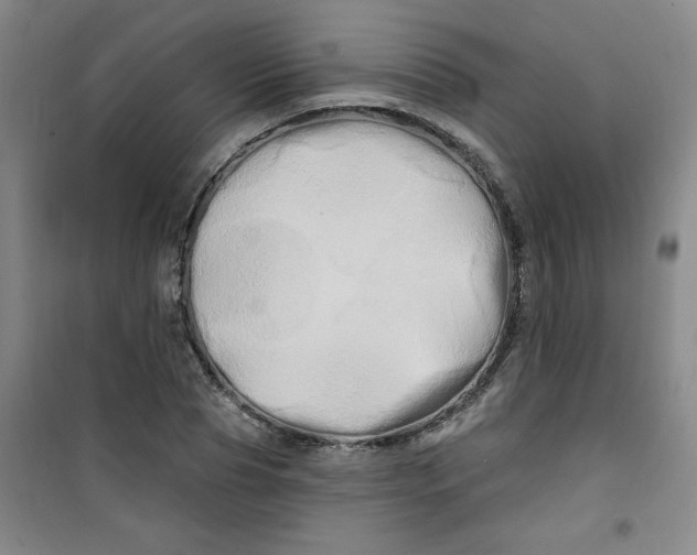 X0000100970929200807151348