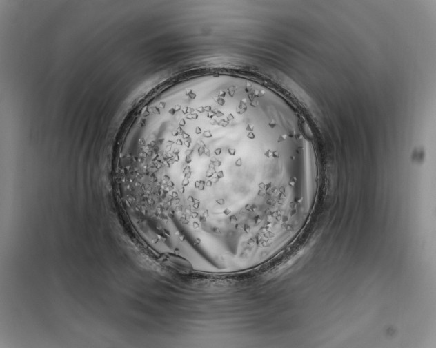 X0000100970930200807151348