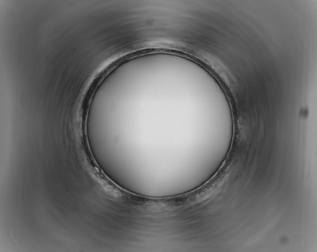 X0000100970931200807151348