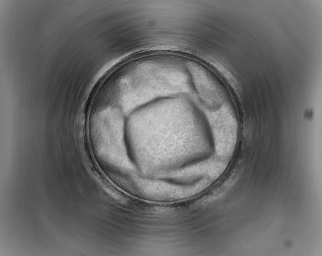 X0000100970933200807151348