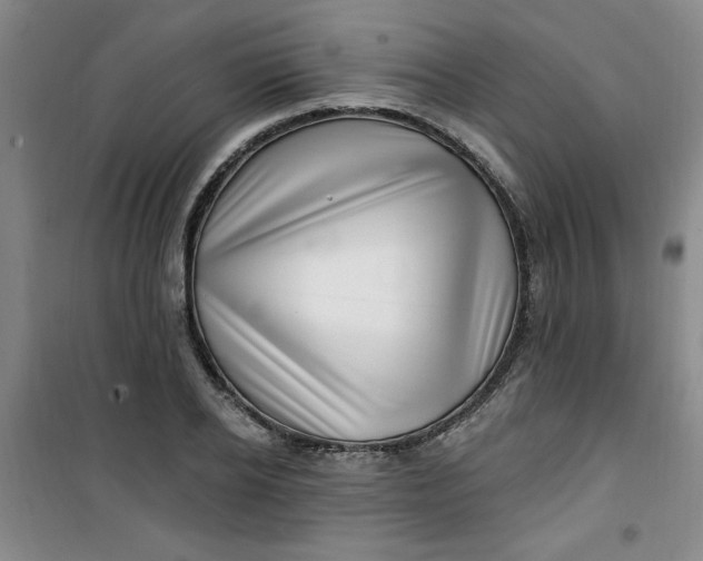 X0000100970934200807151348