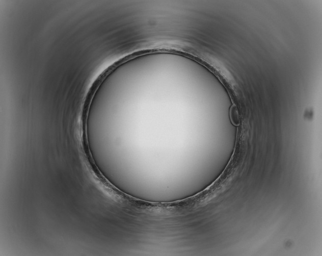 X0000100970936200807151348