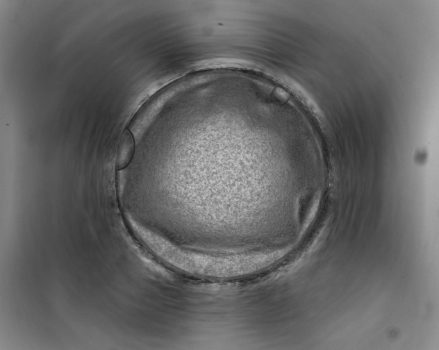 X0000100970937200807151348