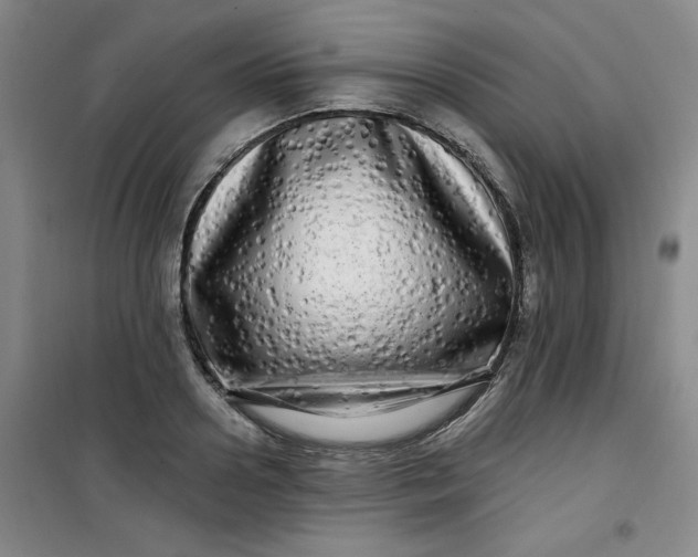 X0000100970938200807151348