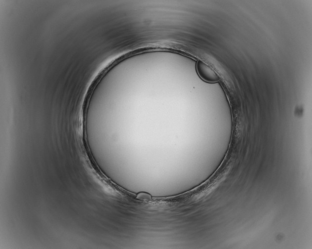X0000100970940200807151348