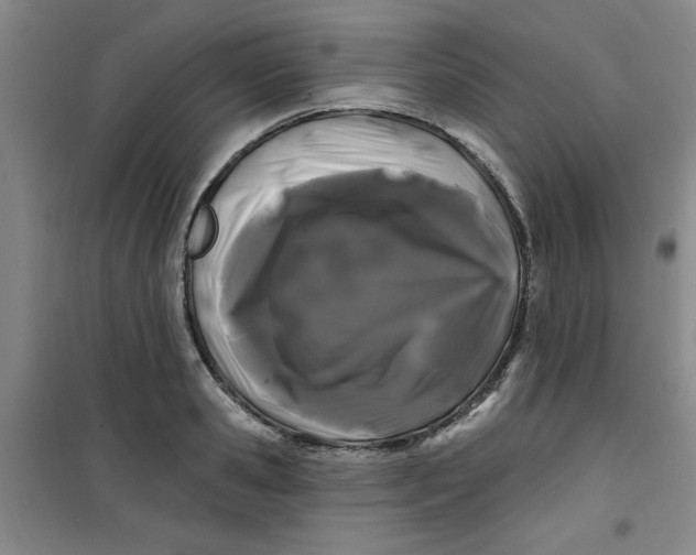 X0000100970941200807151348