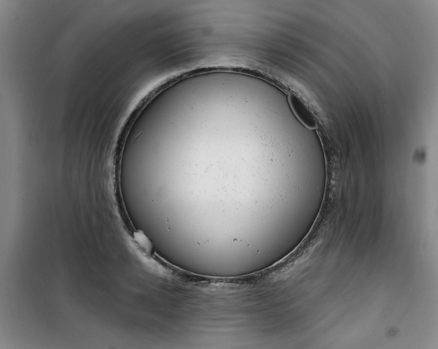 X0000100970942200807151348