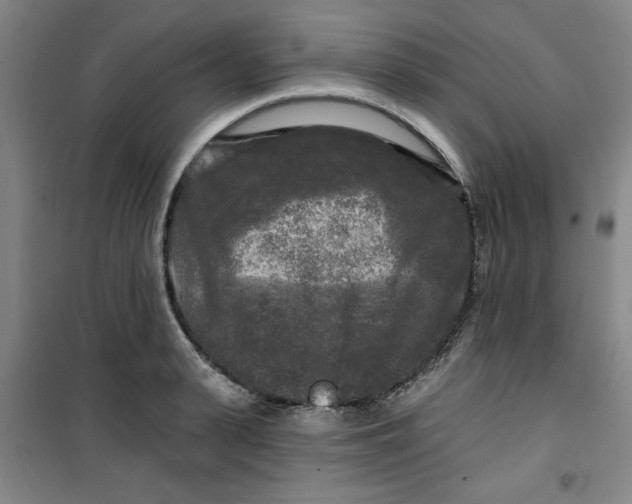 X0000100970943200807151348