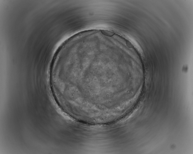 X0000100970944200807151348