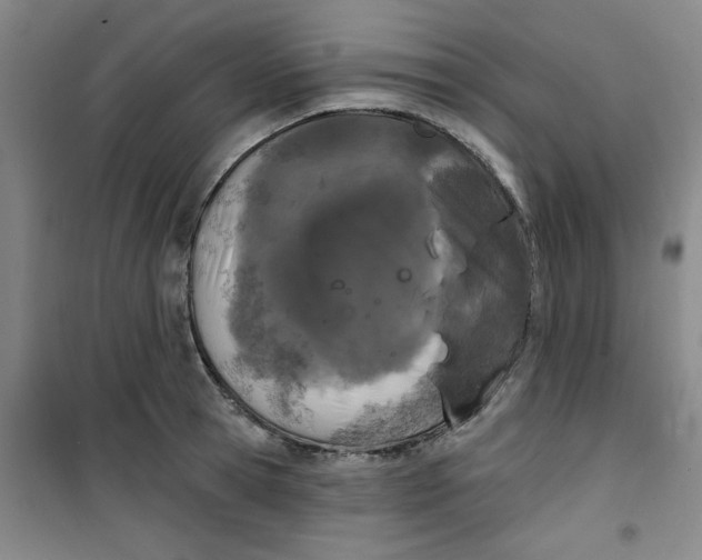 X0000100970945200807151348