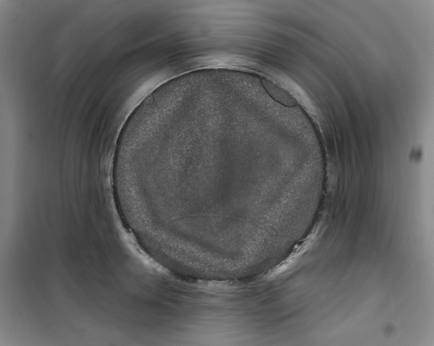 X0000100970946200807151348