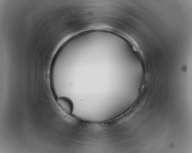 X0000100970947200807151348