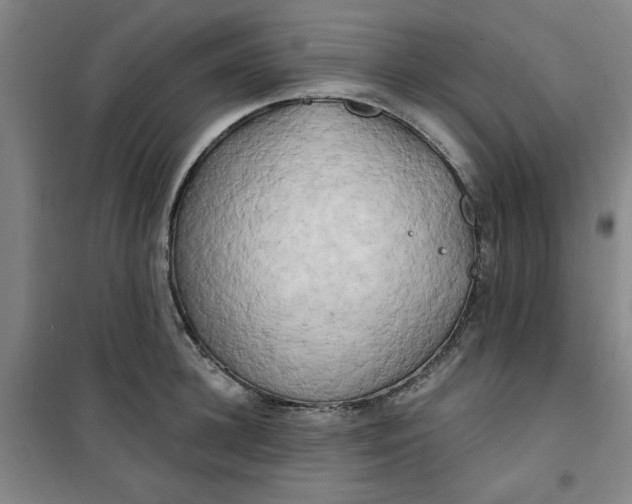 X0000100970948200807151348