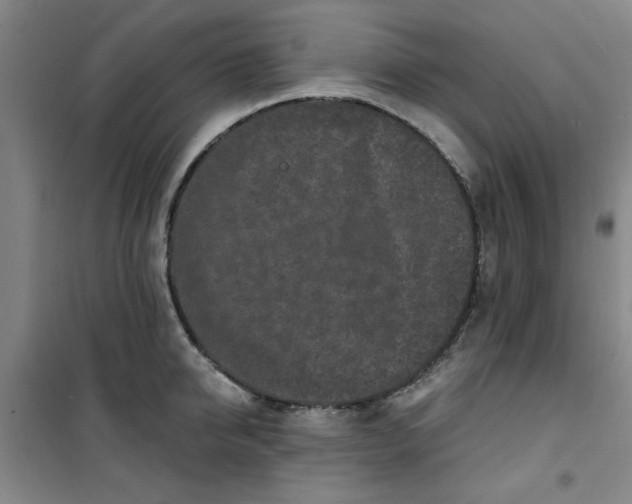 X0000100970950200807151348