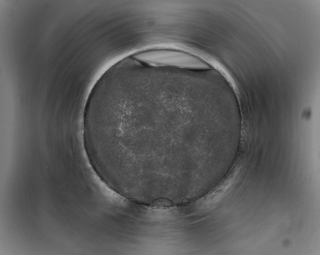 X0000100970951200807151348