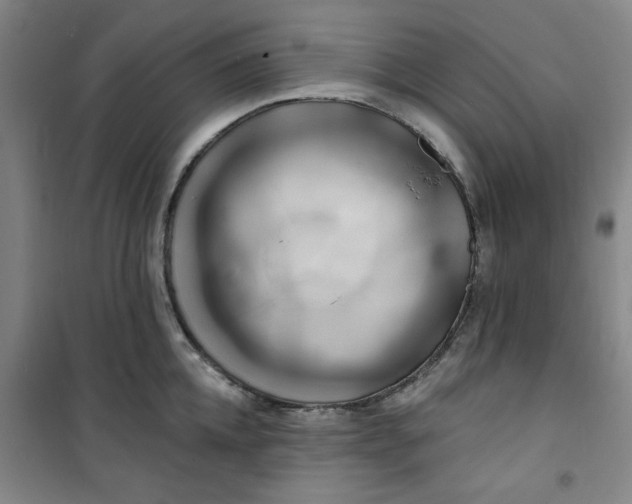X0000100970952200807151348