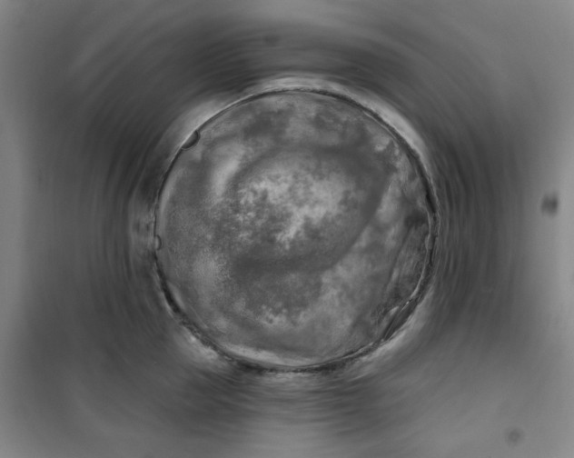 X0000100970953200807151348