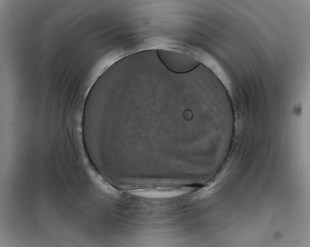 X0000100970954200807151348