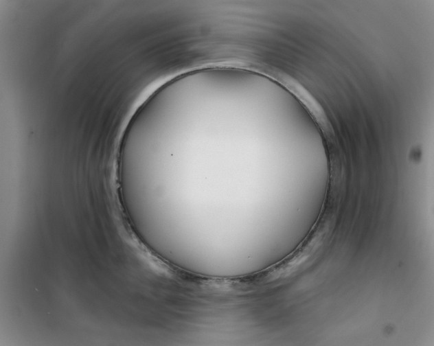 X0000100970956200807151348
