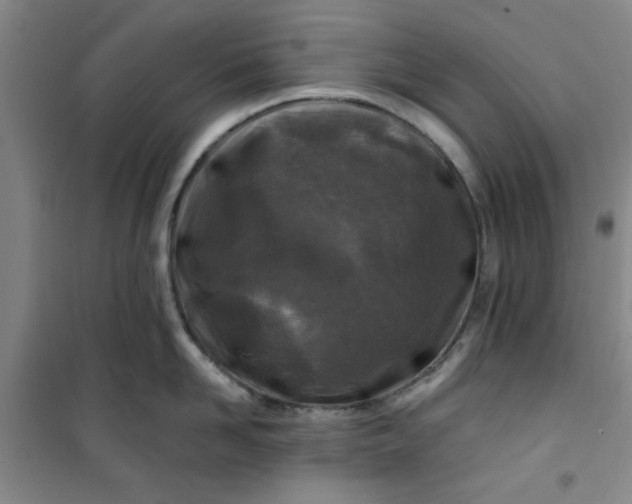 X0000100970958200807151348