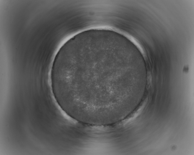 X0000100970959200807151348