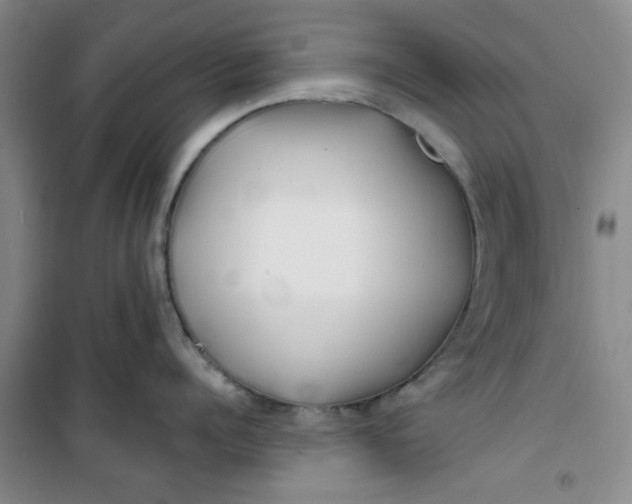 X0000100970960200807151348