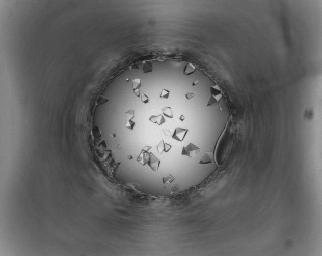 X0000100970961200807151347