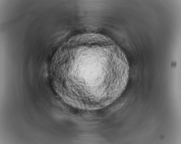 X0000100970962200807151347